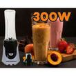 Blender Smoothie ,Hausberg HB-7676NG, Putere 300W, Capacitate 600ml, motor de cupru, Negru