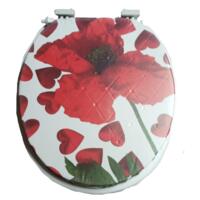 Capac WC, burete, SN 6500